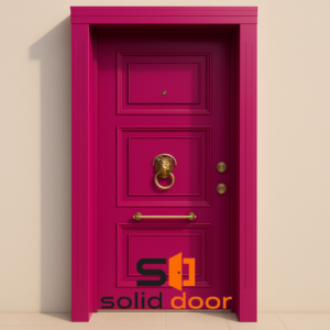 Solid Door A 5013 Çelik Kapı